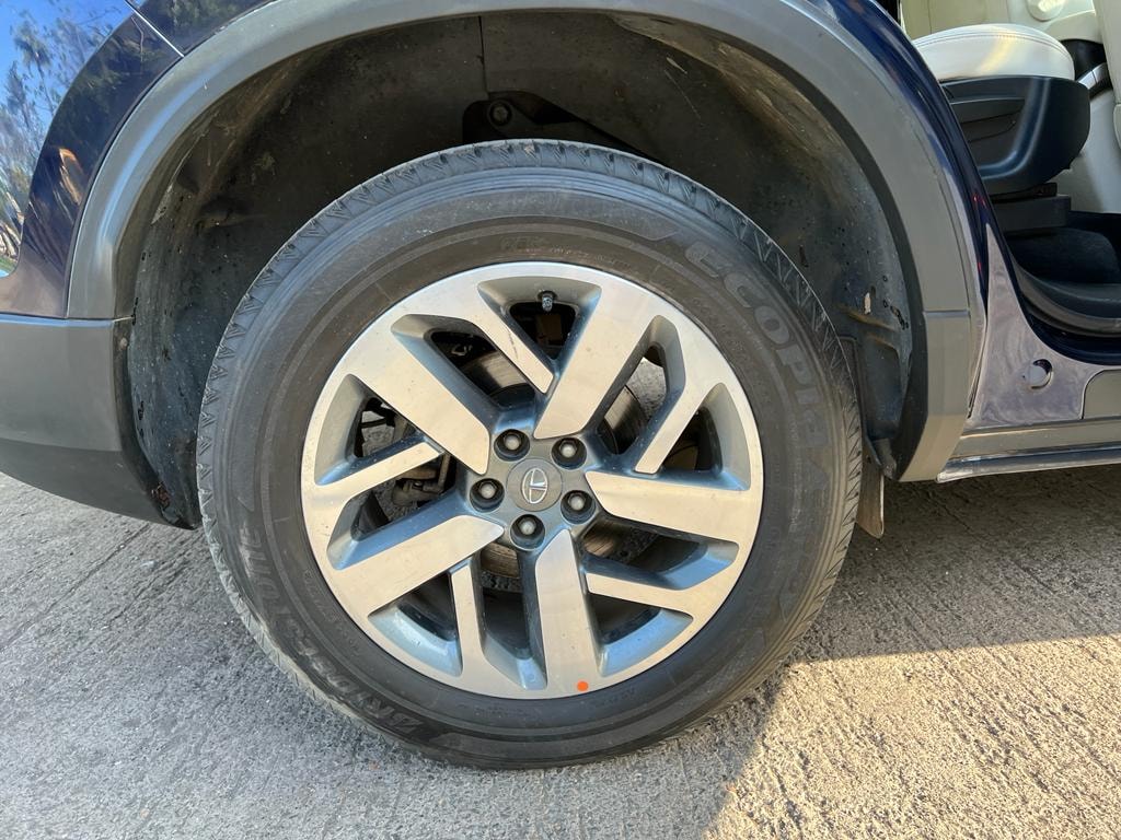 Safari image 9 Safari image 9