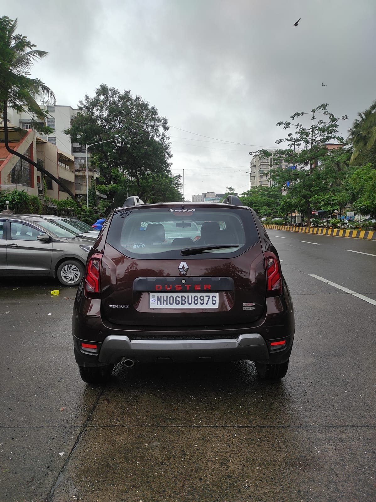 Duster image 4 Duster image 4