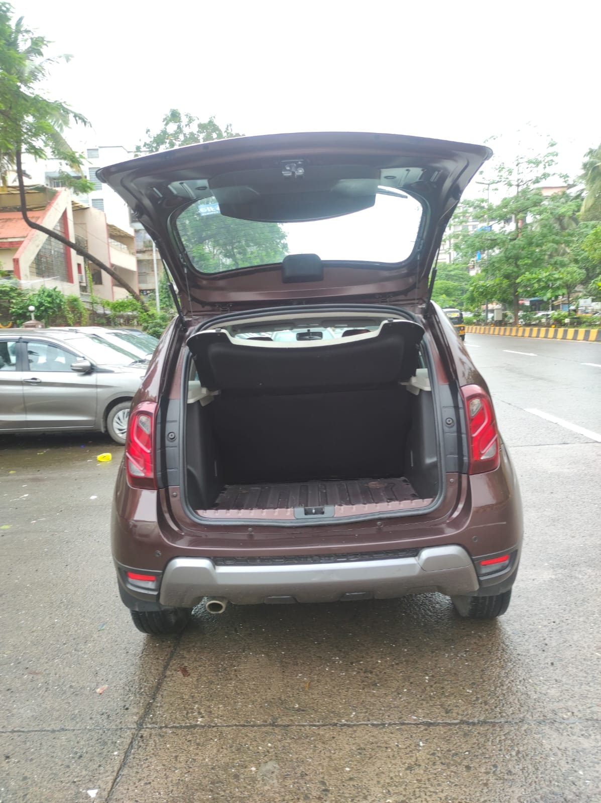 Duster image 10 Duster image 10