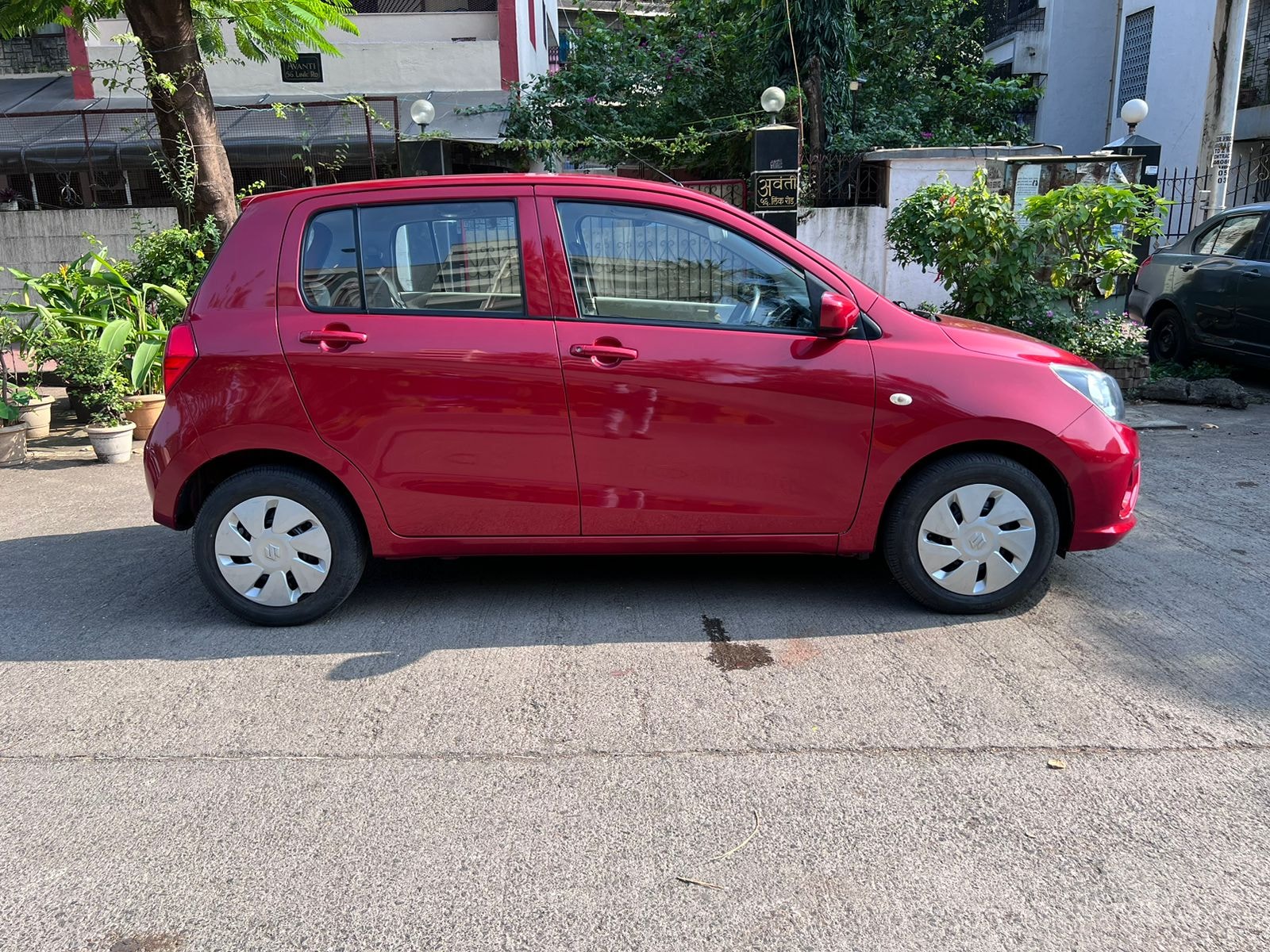 Celerio image 6 Celerio image 6