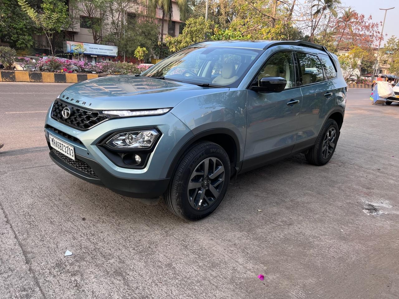 Safari image 1 Safari image 1