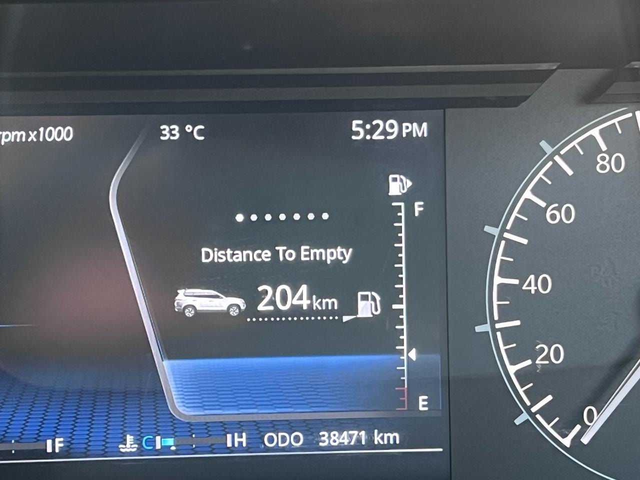 Safari image 11 Safari image 11