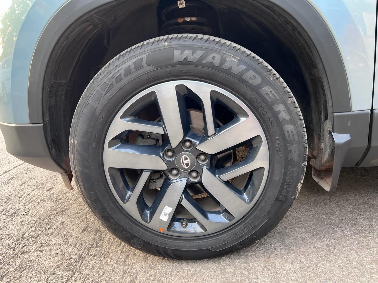 Safari image 9 Safari image 9