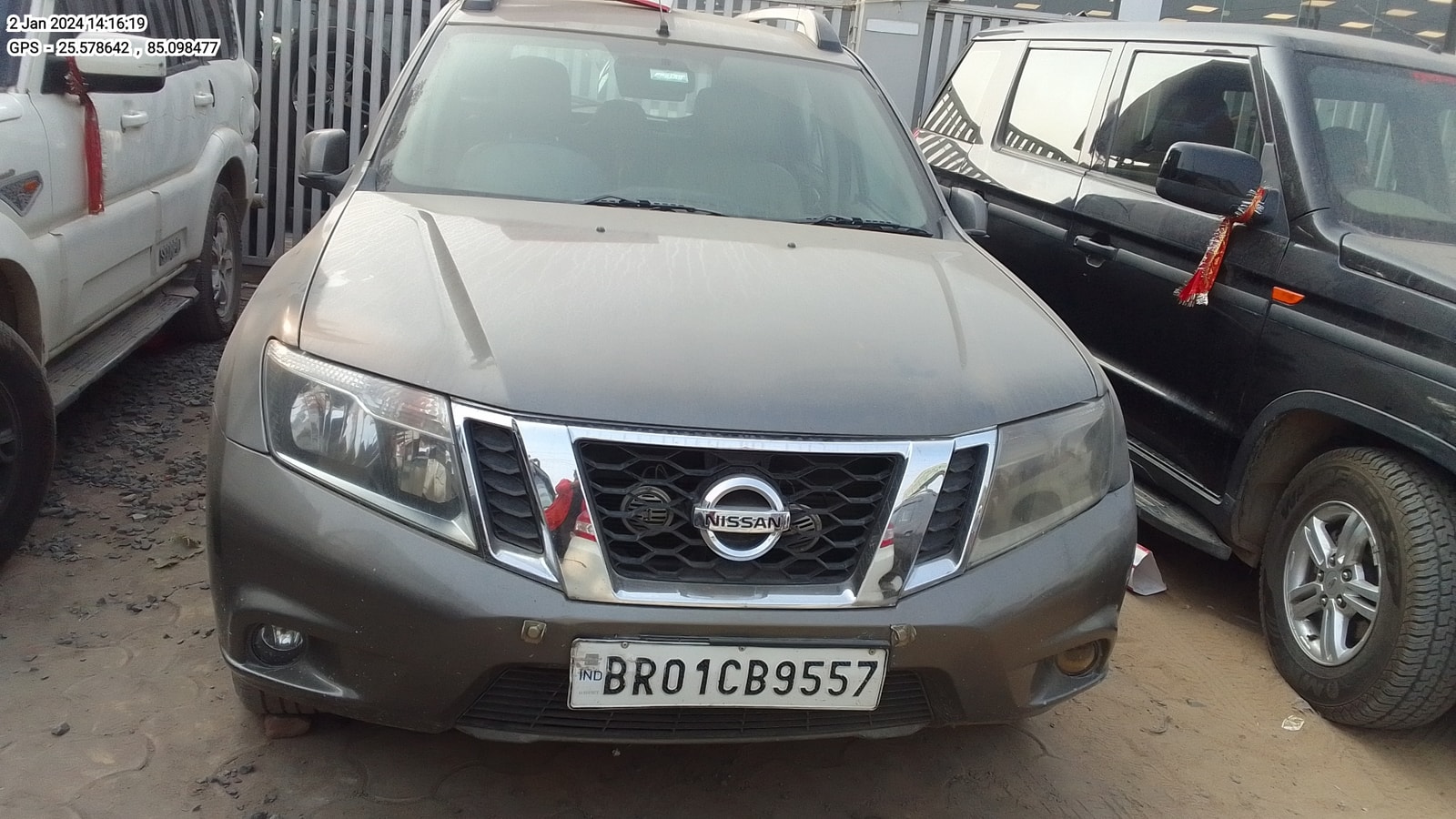 Terrano image 3 Terrano image 3