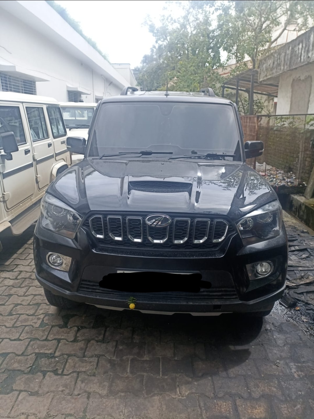 Scorpio image 2 Scorpio image 2