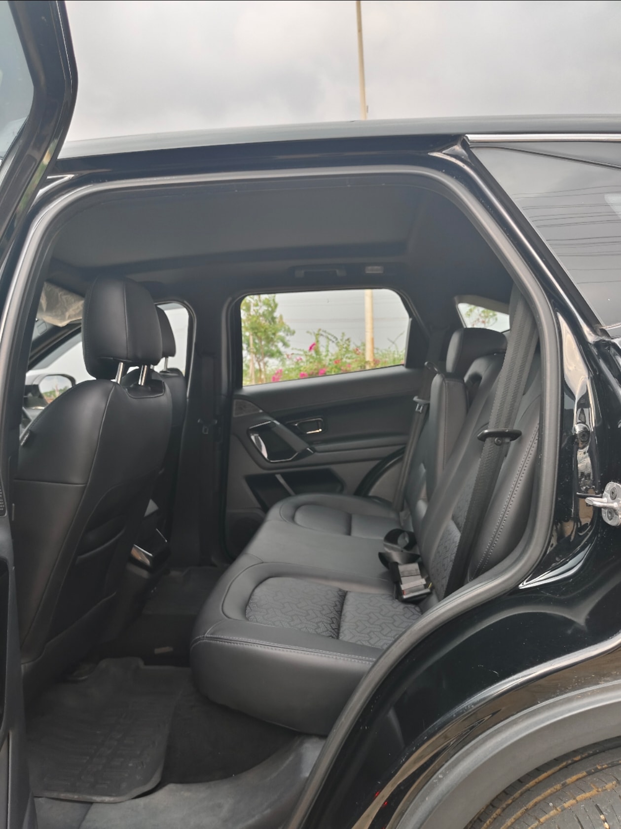 Harrier image 15 Harrier image 15