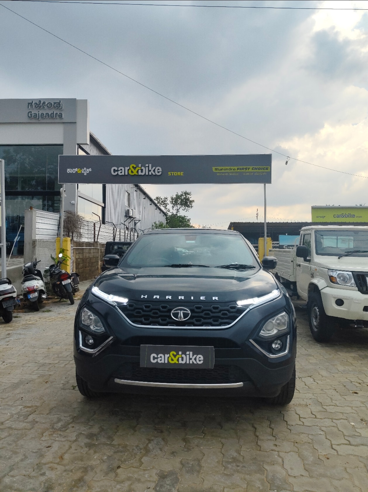 Harrier image 6 Harrier image 6