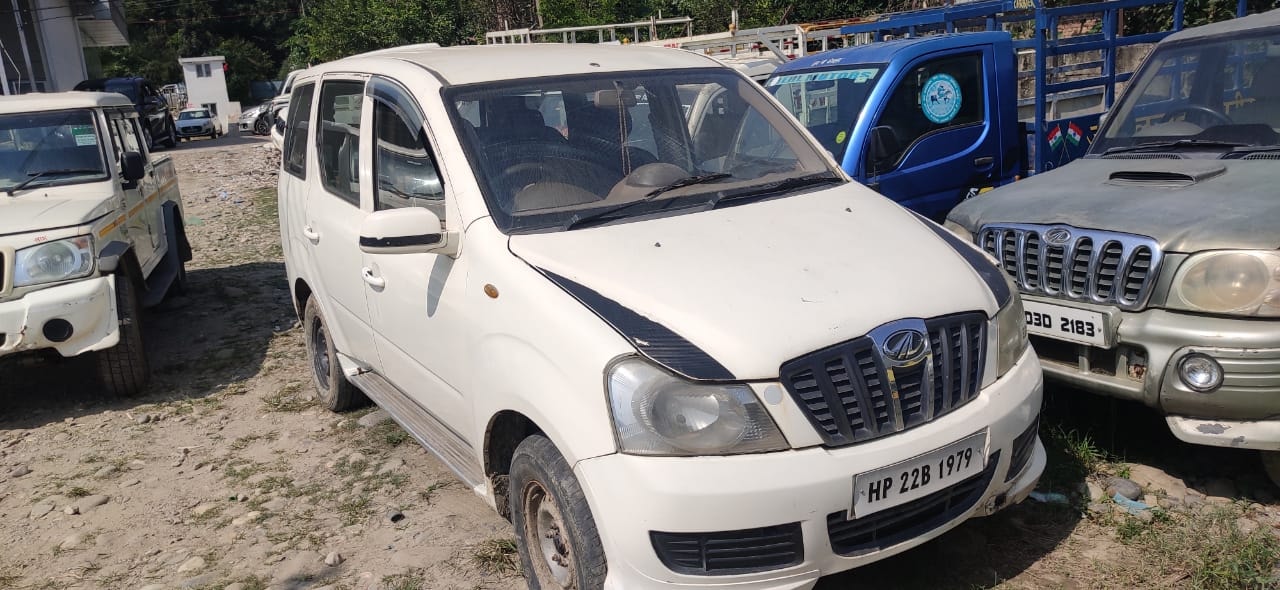 Xylo image 1 Xylo image 1