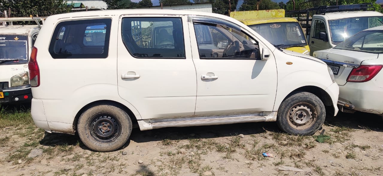 Xylo image 3 Xylo image 3