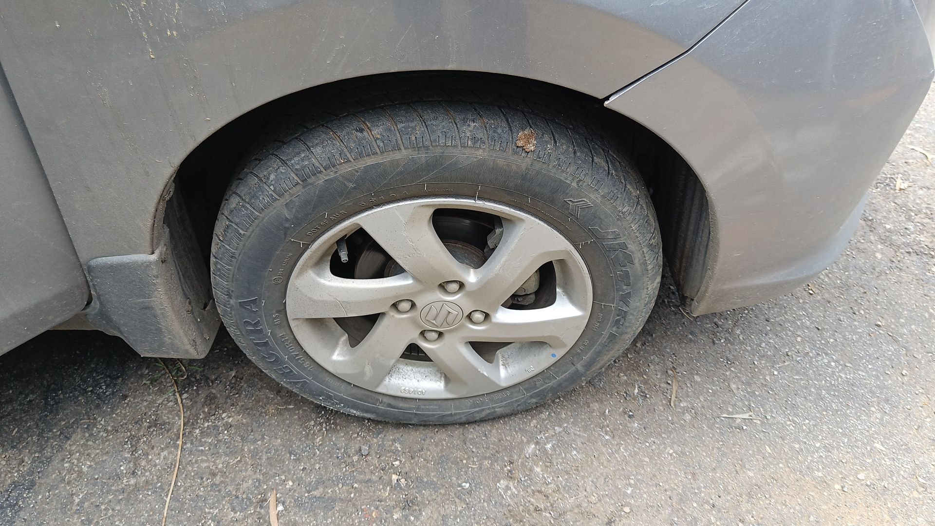 Celerio image 10 Celerio image 10