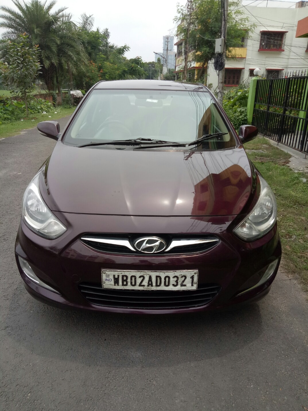 Verna image 1 Verna image 1