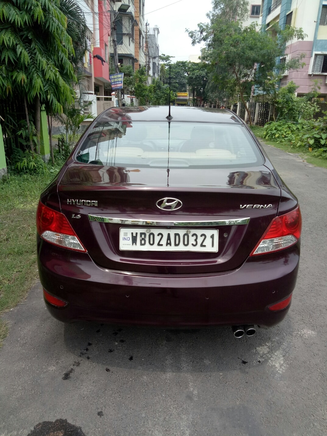 Verna image 7 Verna image 7