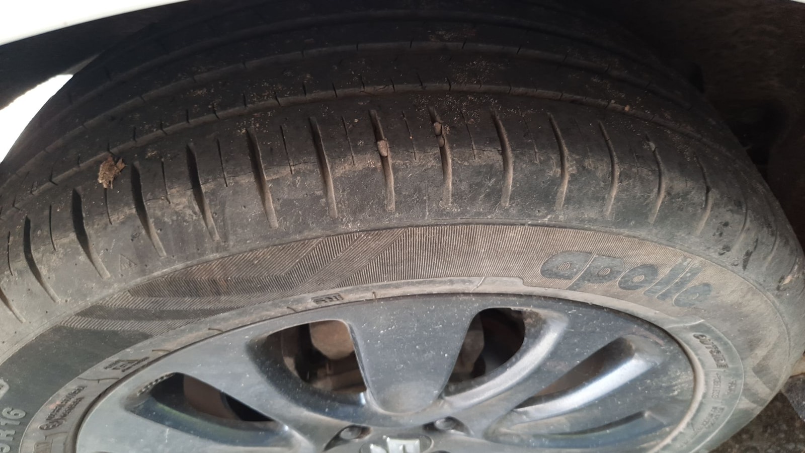 Baleno image 11 Baleno image 11