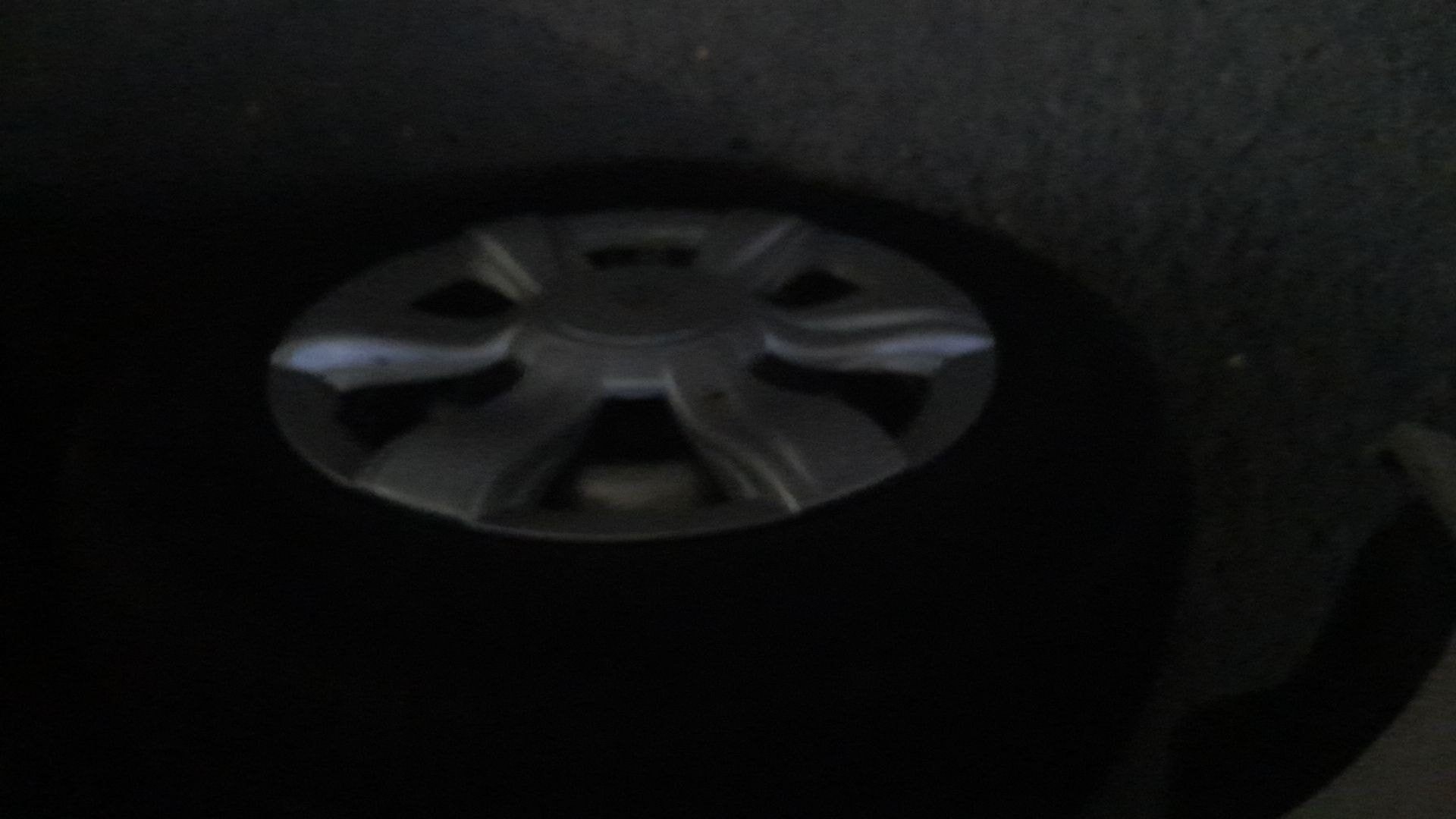 Xylo image 11 Xylo image 11