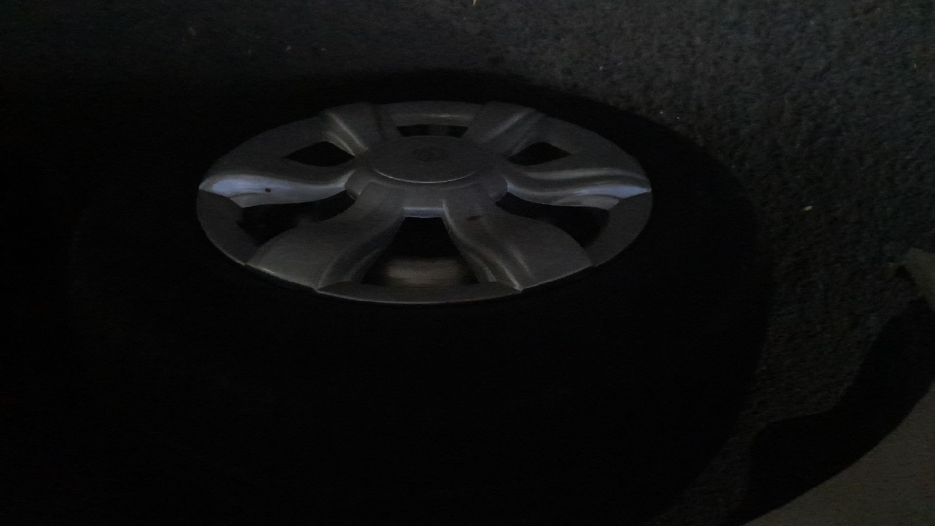 Xylo image 13 Xylo image 13