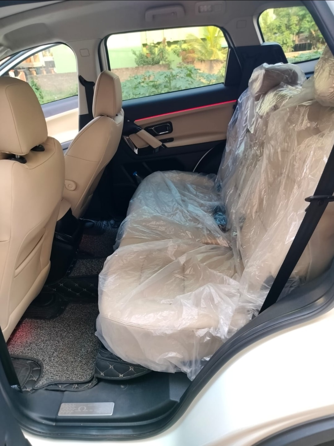 Safari image 10 Safari image 10