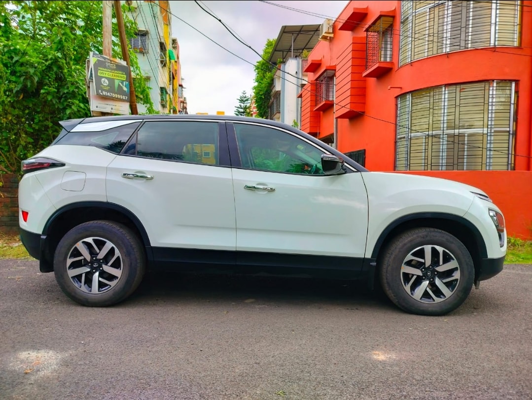 Harrier image 3 Harrier image 3