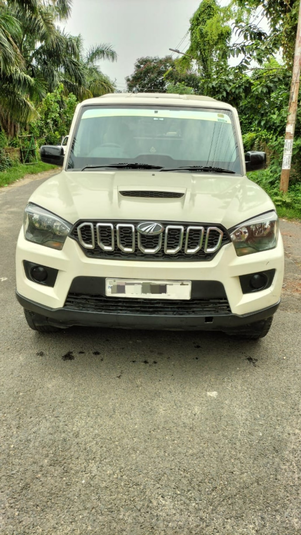 Scorpio image 3 Scorpio image 3