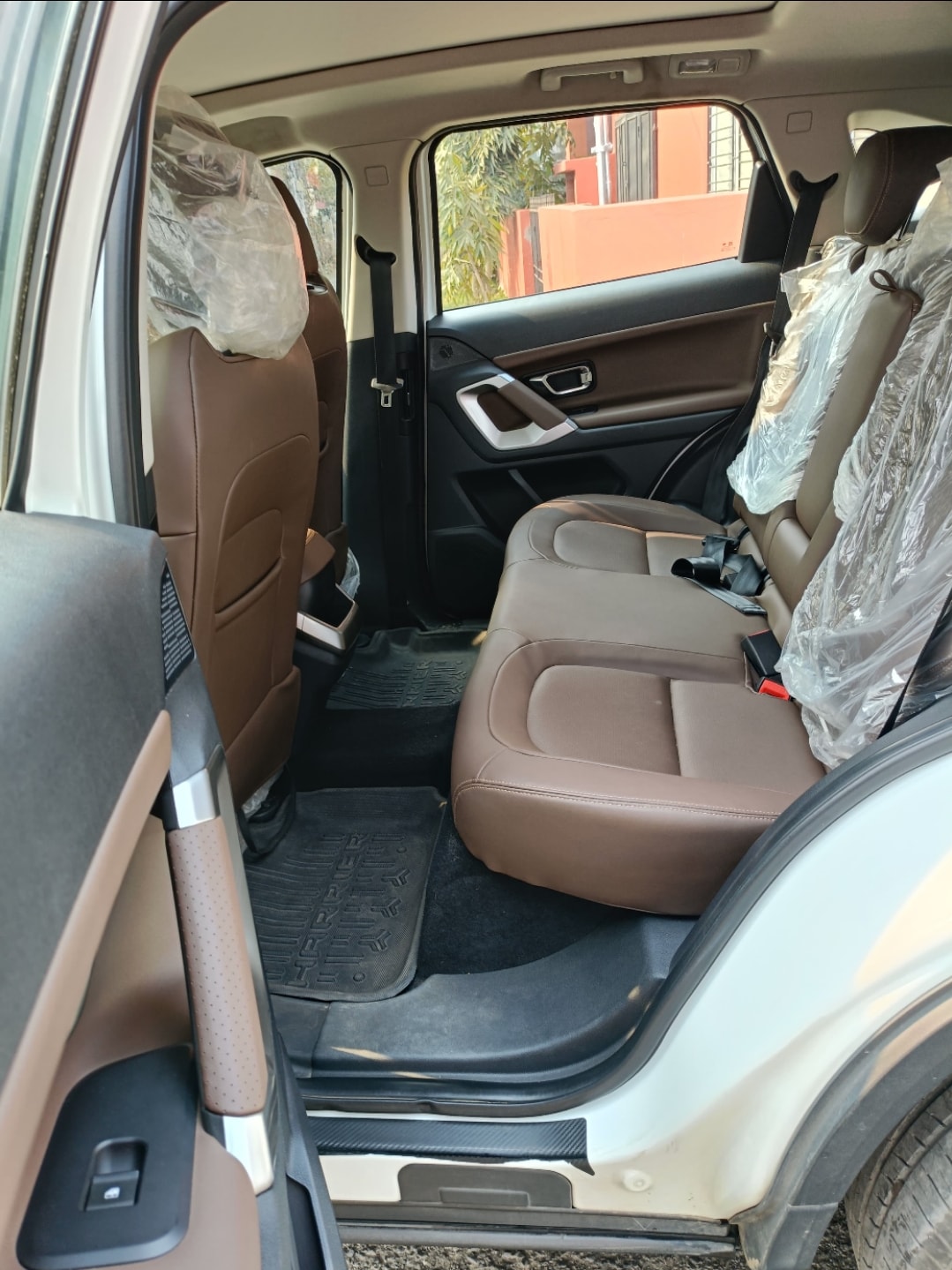 Harrier image 6 Harrier image 6