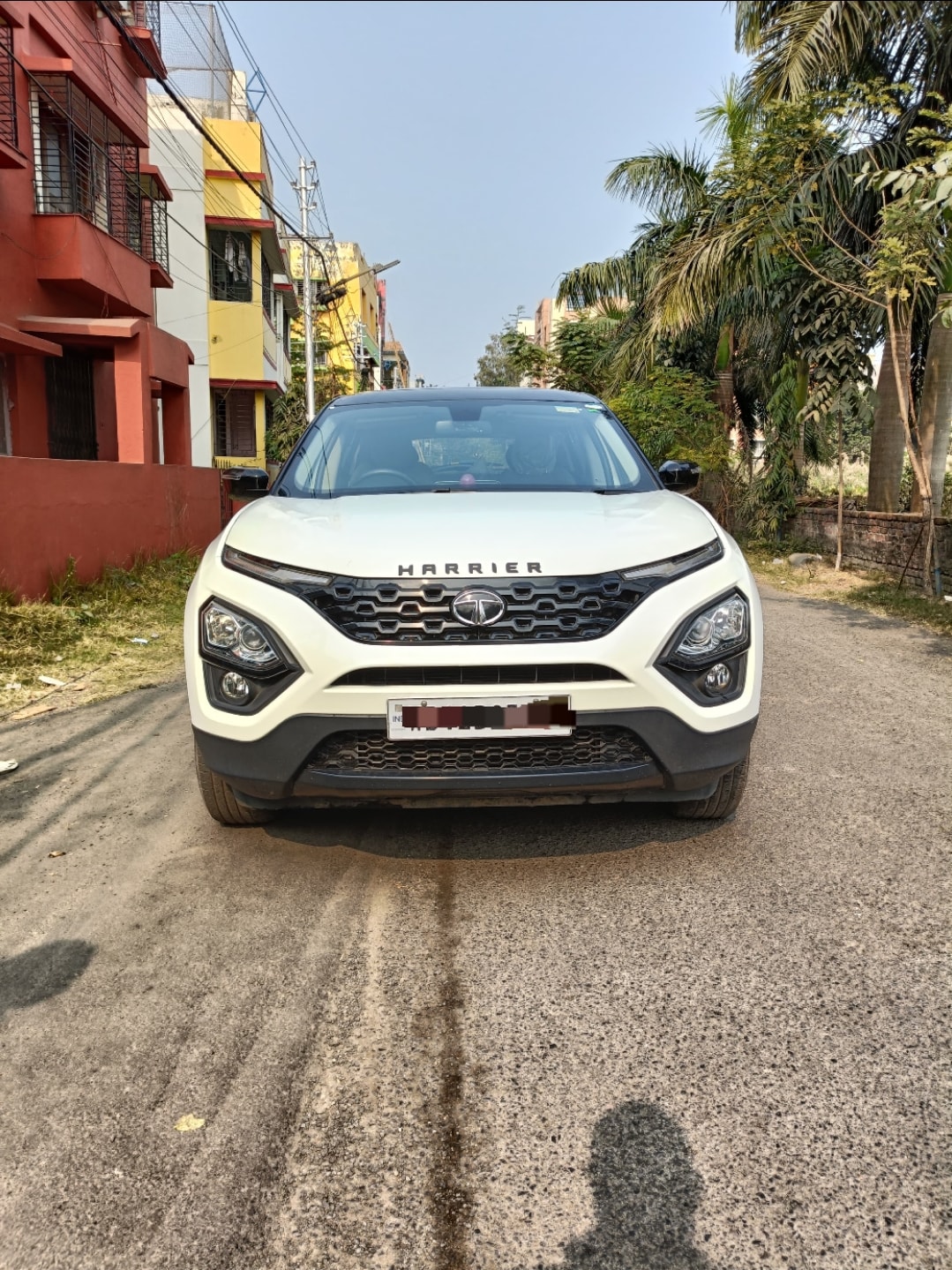 Harrier image 4 Harrier image 4