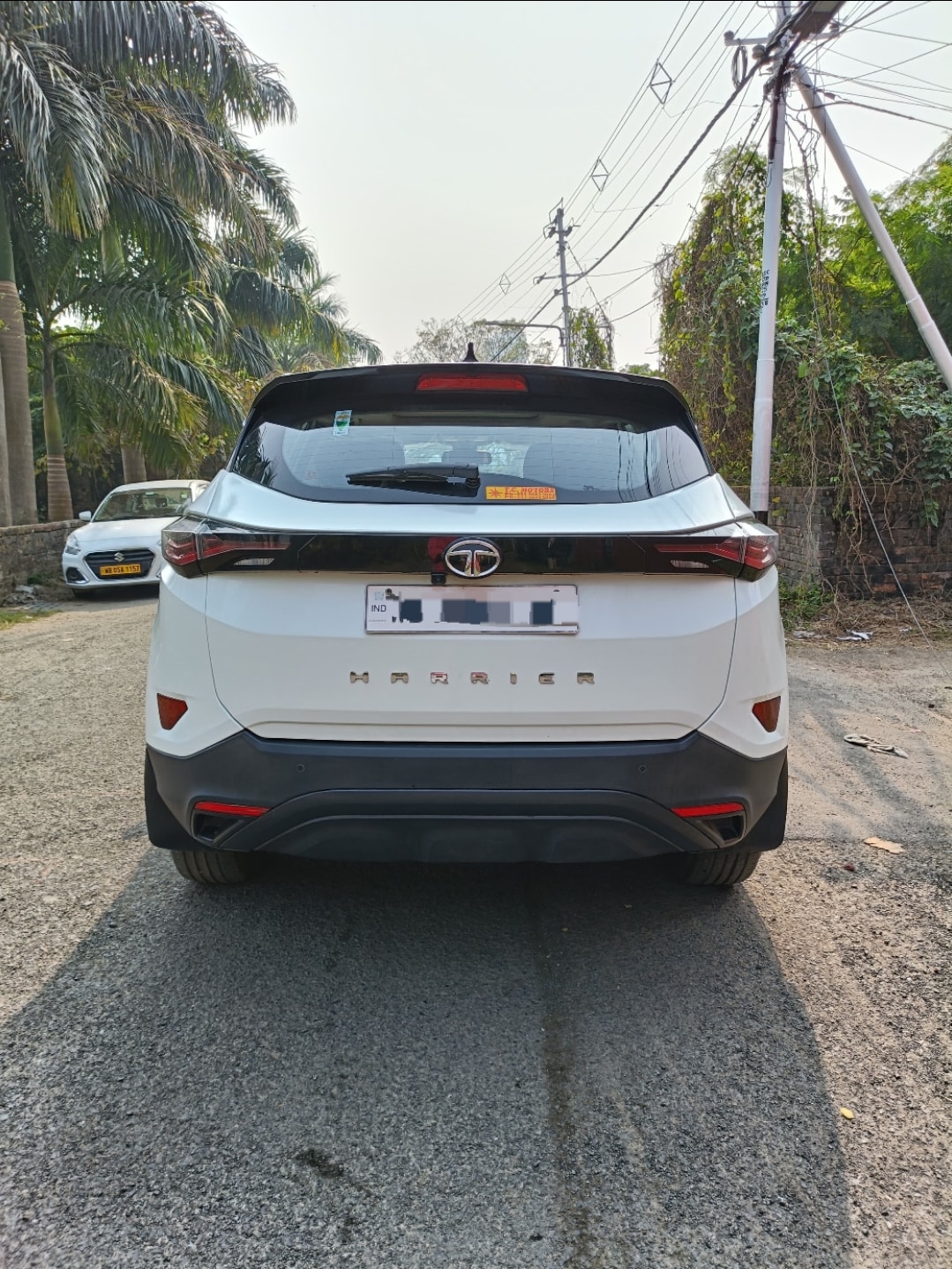 Harrier image 2 Harrier image 2