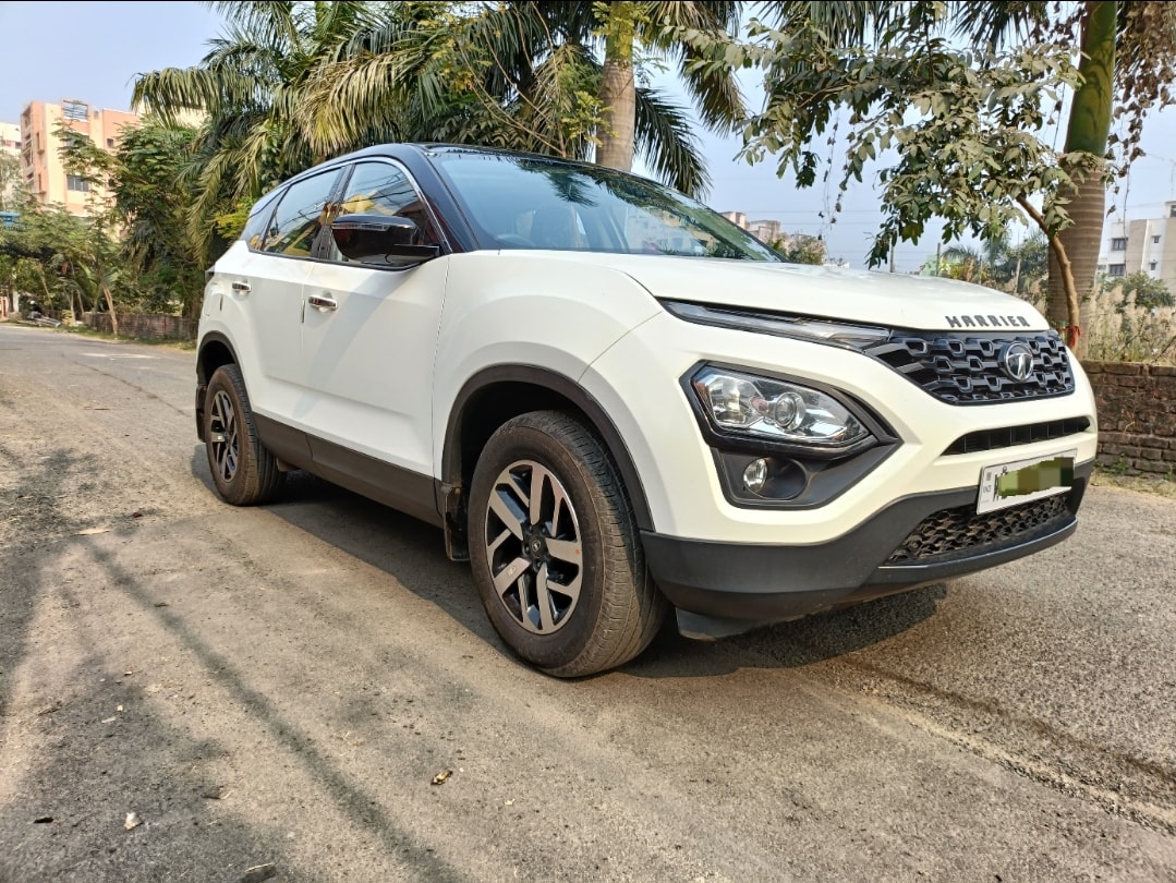 Harrier image 3 Harrier image 3