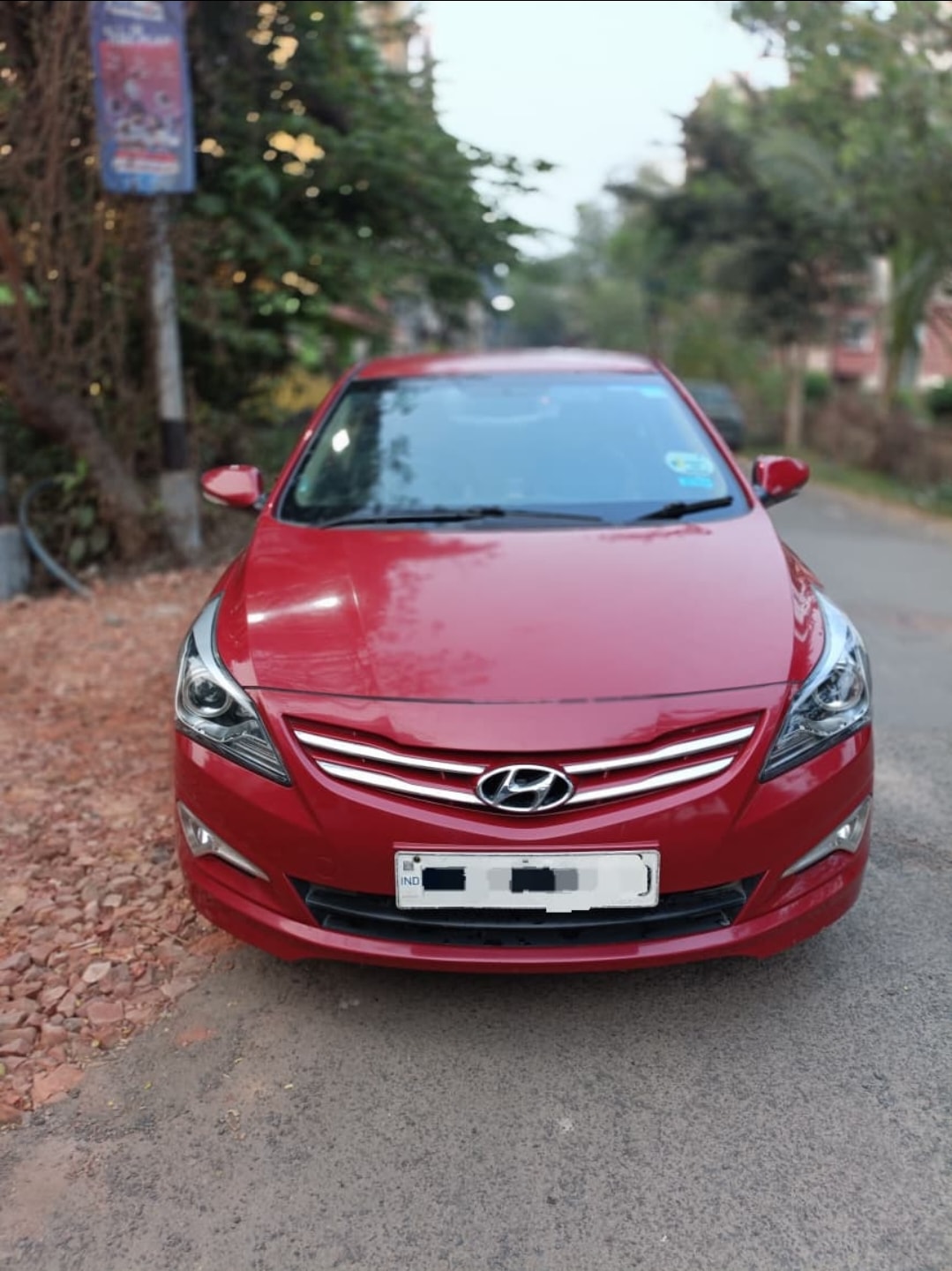 Verna image 4 Verna image 4