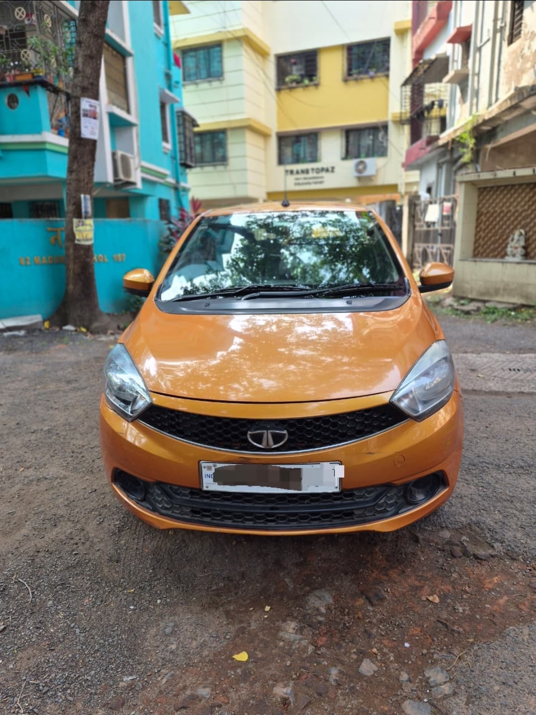 Tiago image 4 Tiago image 4