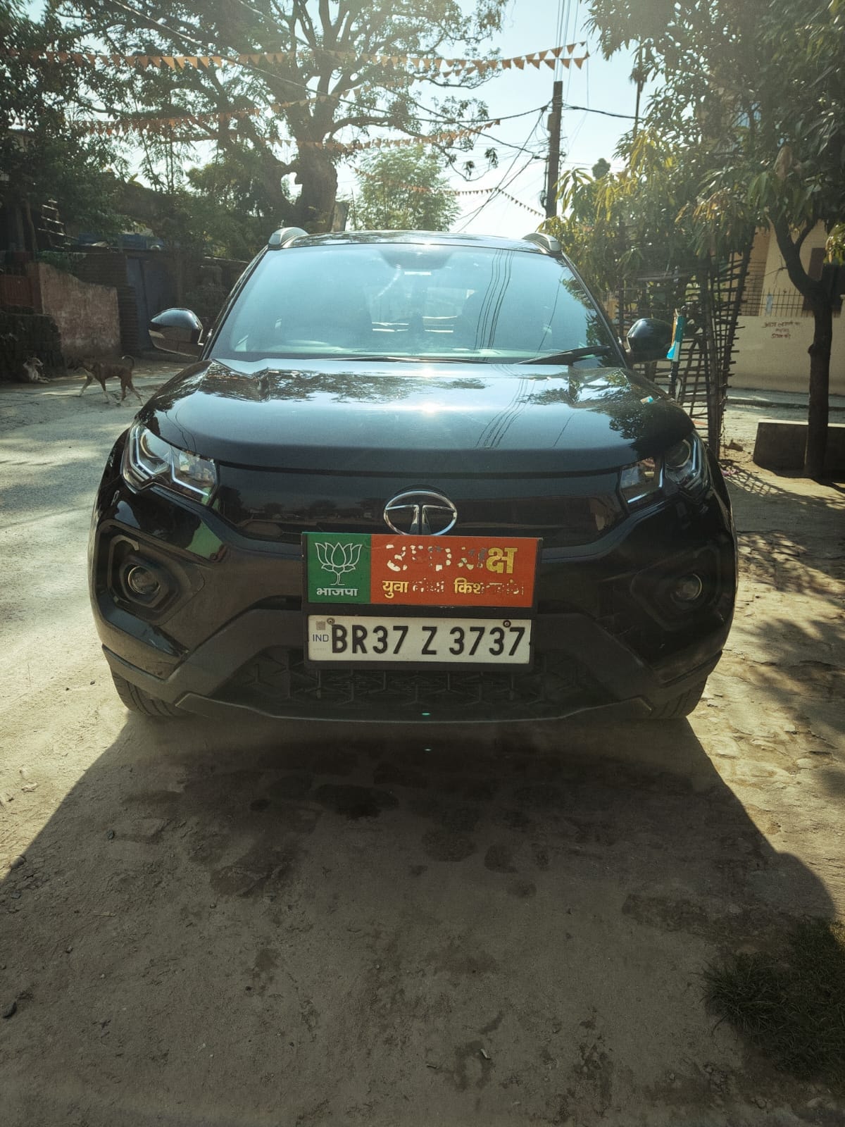 Nexon image 1 Nexon image 1