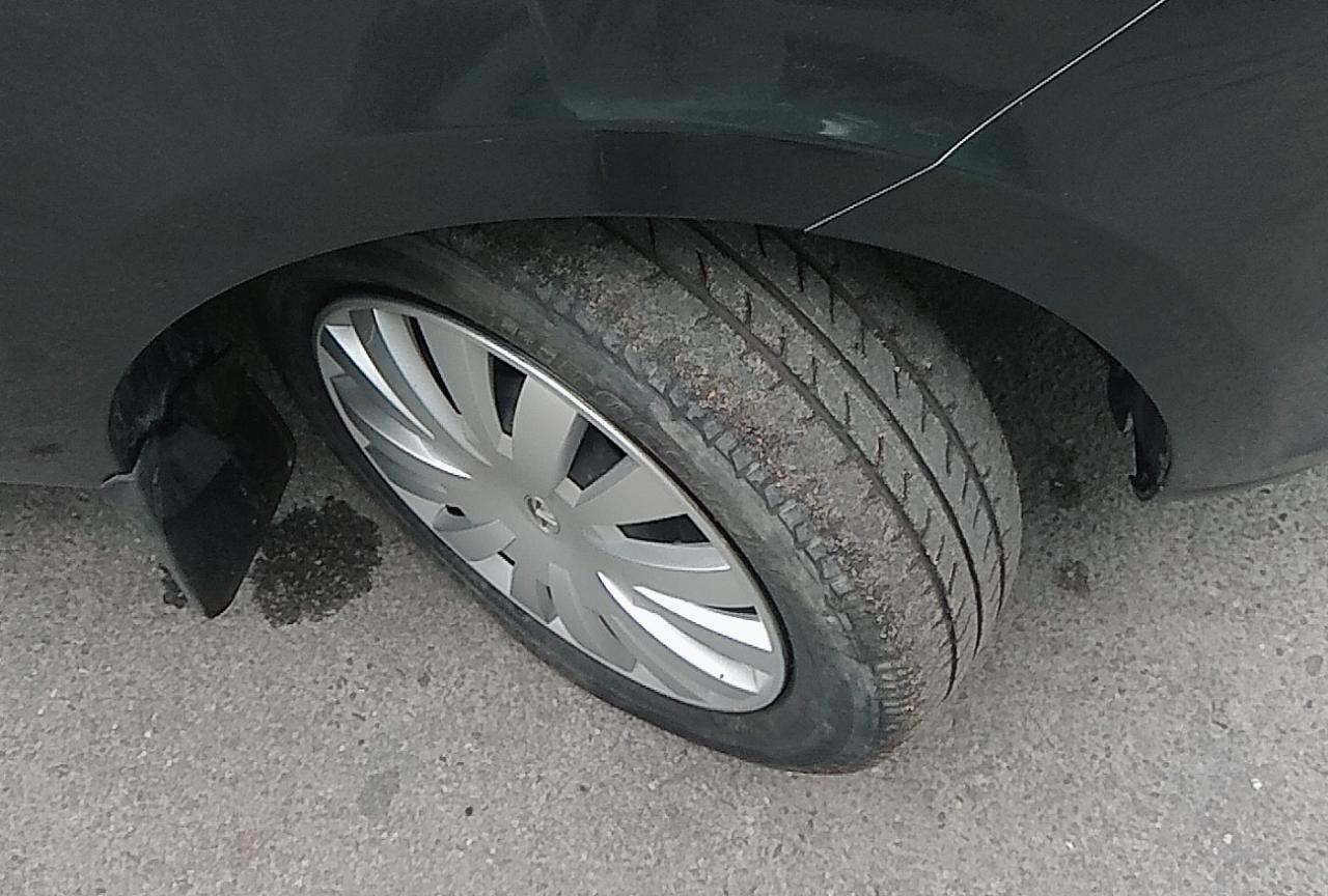 Zest image 17 Zest image 17