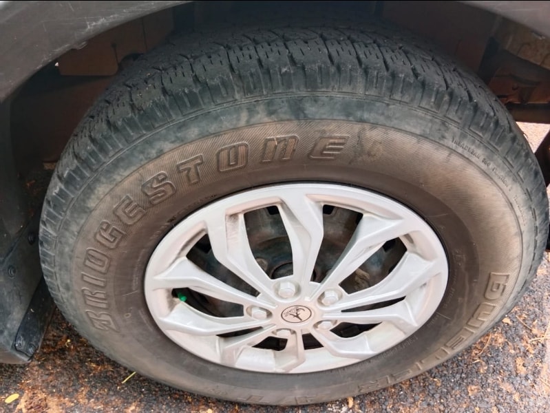 Xylo image 9 Xylo image 9