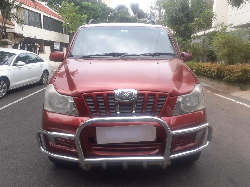 Xylo image 8 Xylo image 8