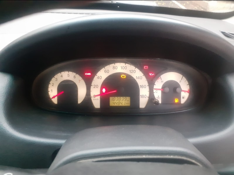 Xylo image 11 Xylo image 11