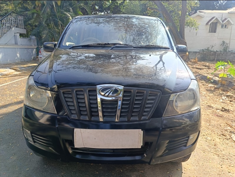 Xylo image 8 Xylo image 8