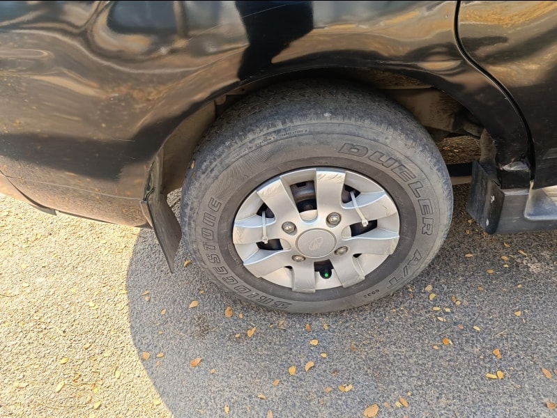 Xylo image 9 Xylo image 9