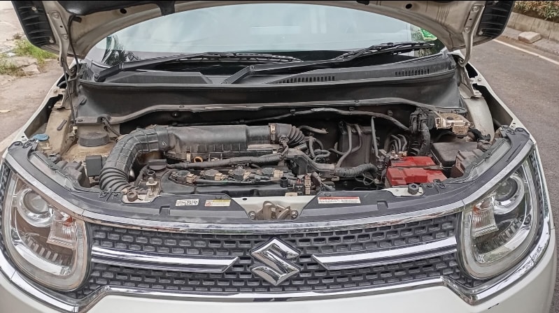 Ignis image 10 Ignis image 10