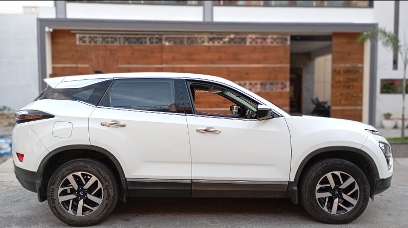 Harrier image 2 Harrier image 2