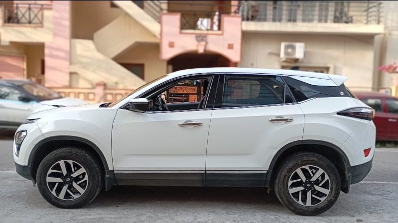 Harrier image 6 Harrier image 6