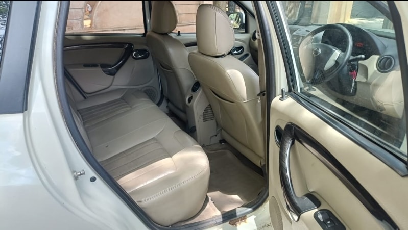 Terrano image 15 Terrano image 15