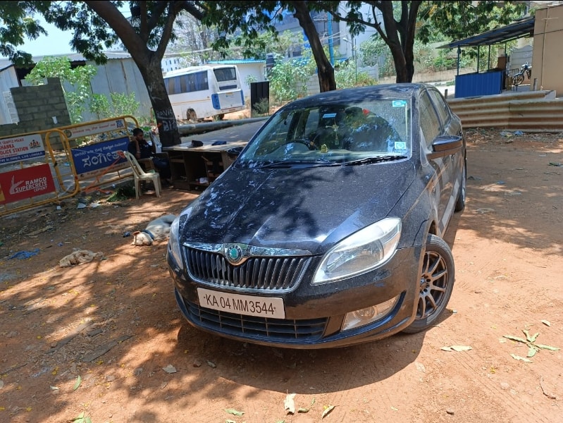 Rapid image 11 Rapid image 11