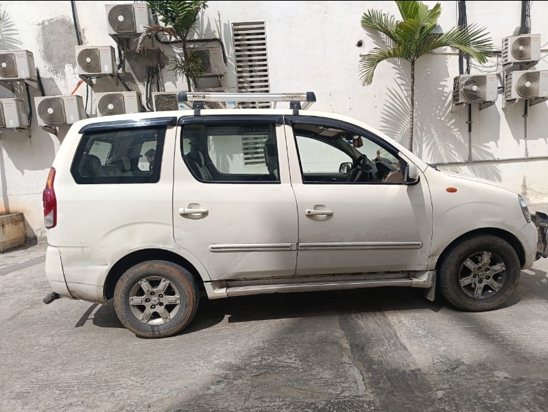 Xylo image 2 Xylo image 2