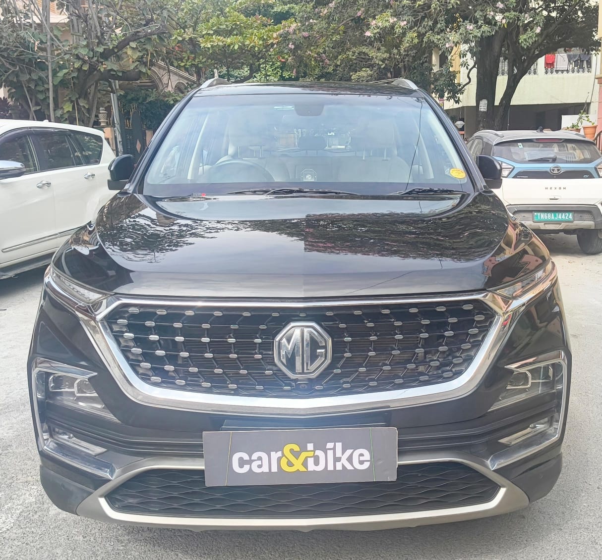 Hector image 8 Hector image 8