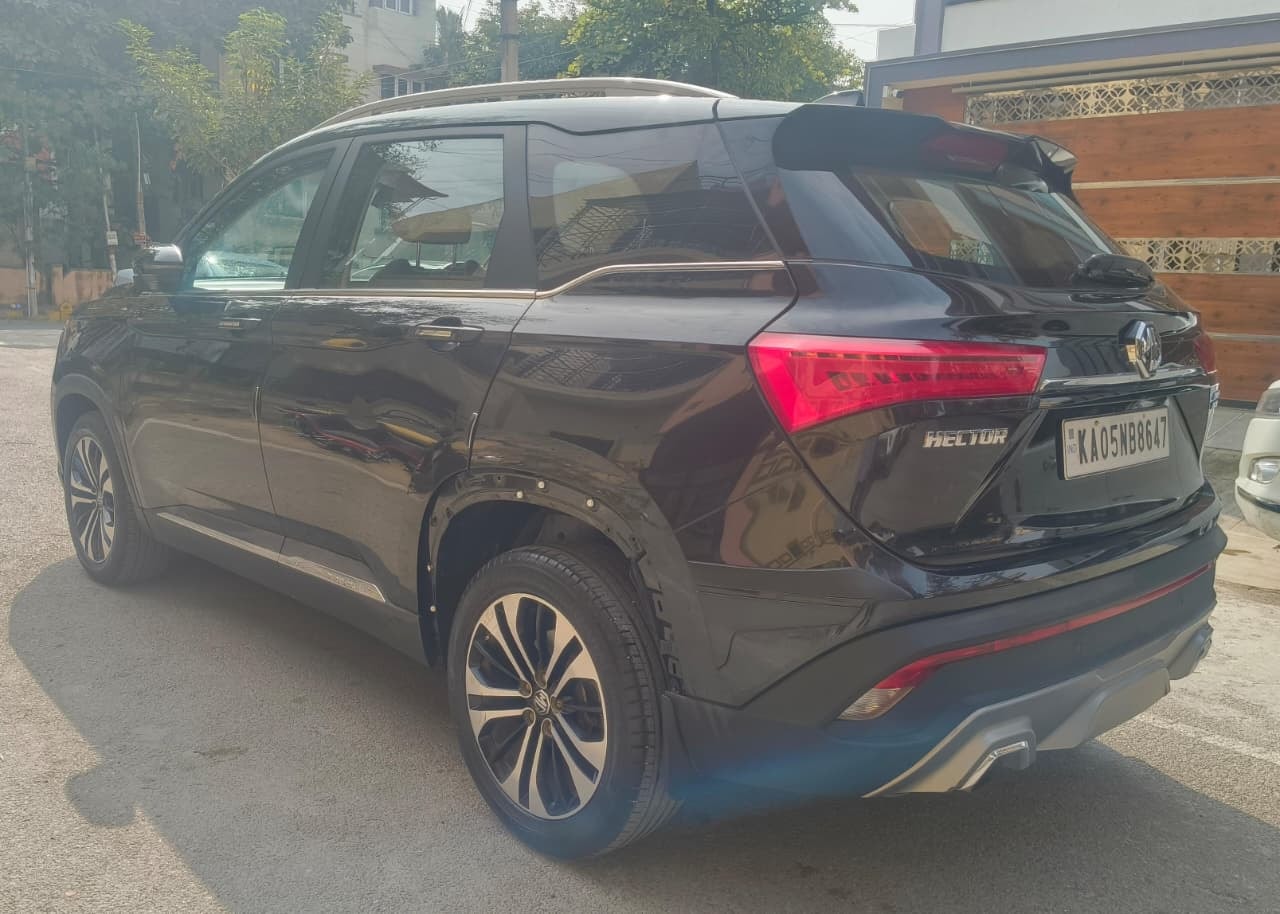 Hector image 3 Hector image 3