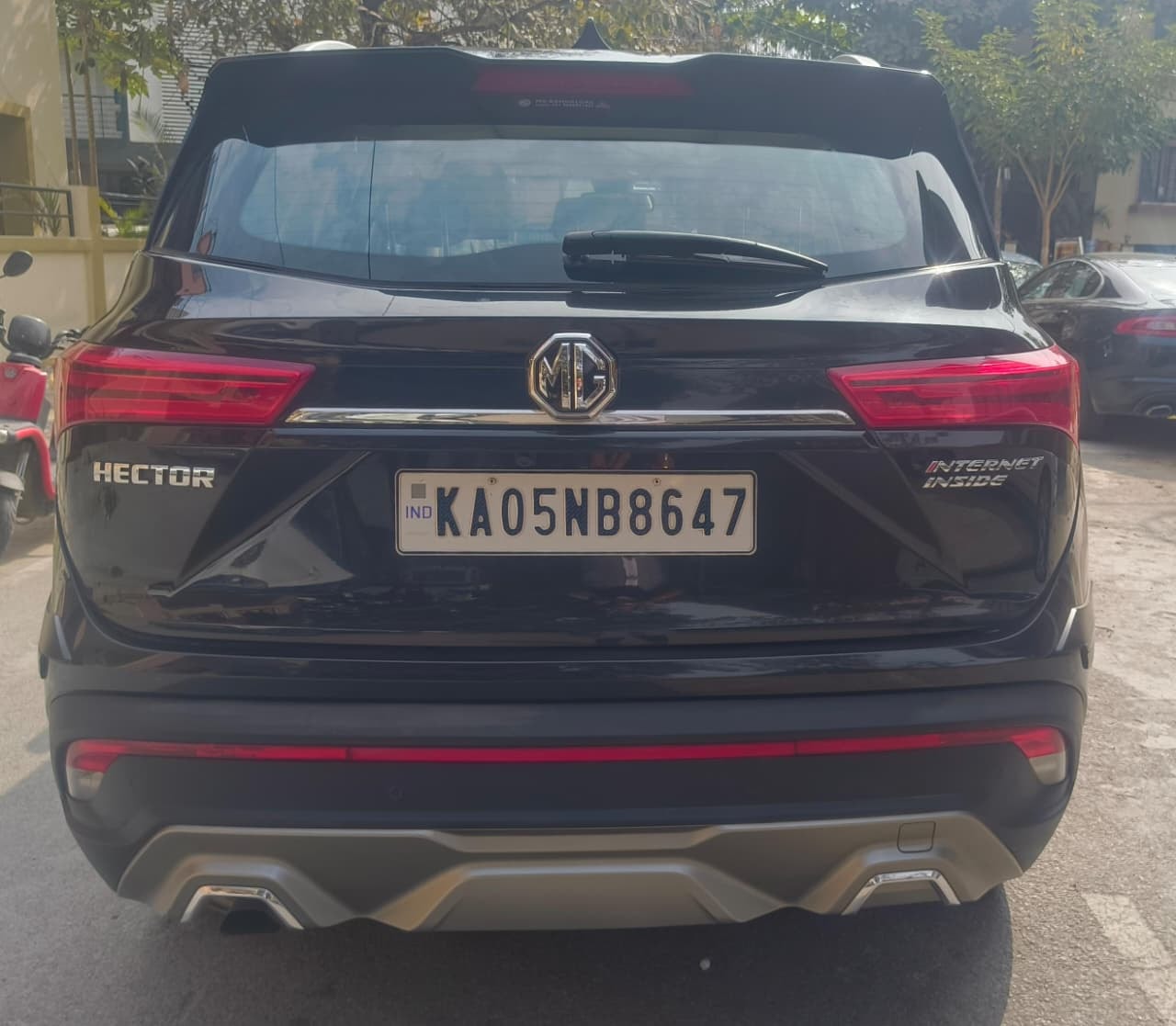 Hector image 4 Hector image 4