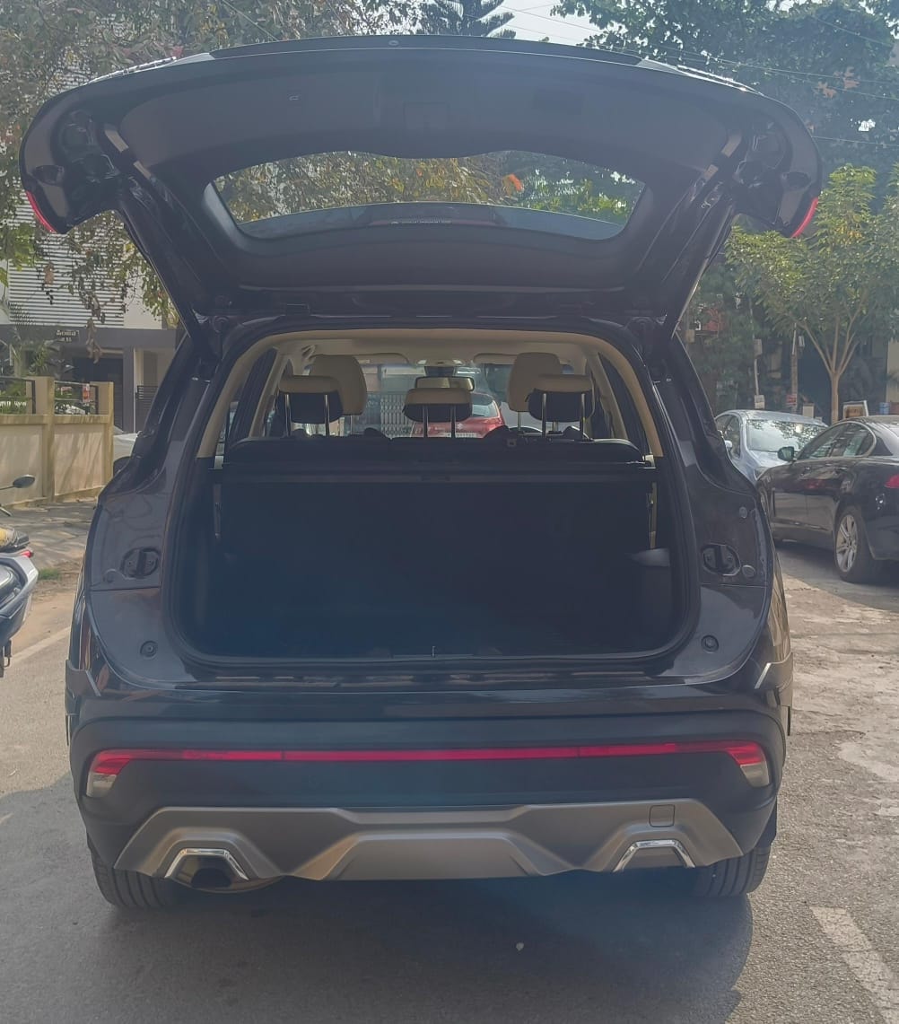 Hector image 10 Hector image 10