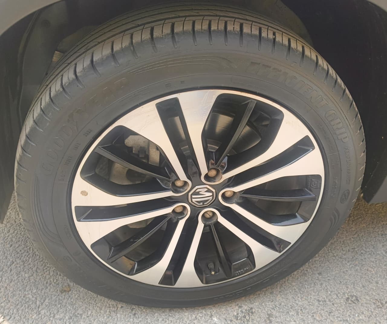 Hector image 9 Hector image 9