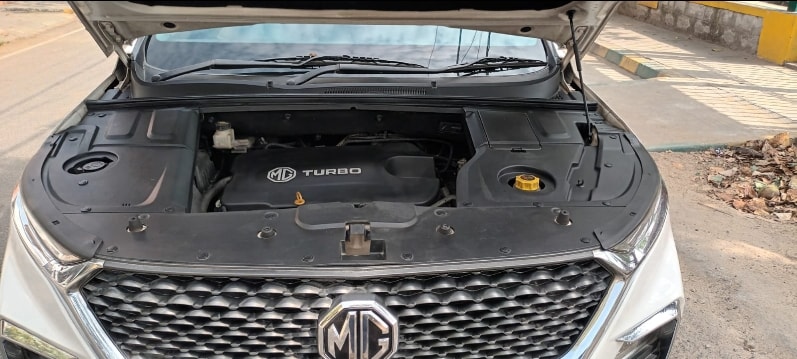 Hector image 17 Hector image 17