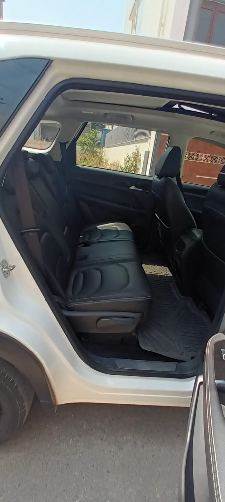 Hector image 17 Hector image 17