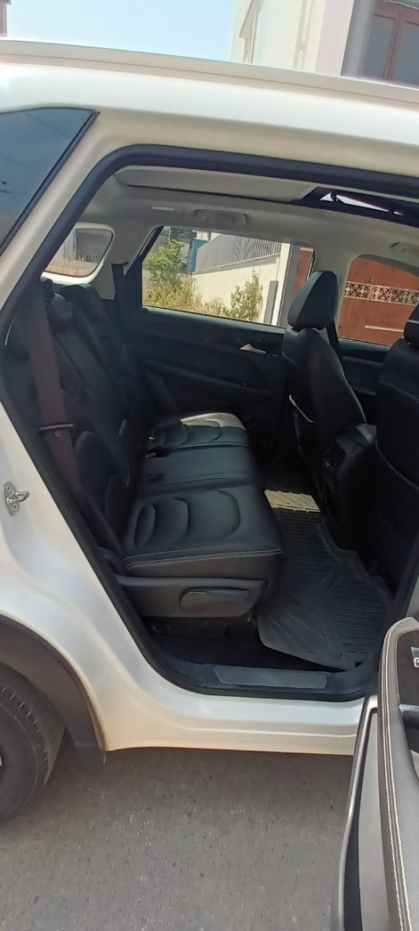 Hector image 15 Hector image 15