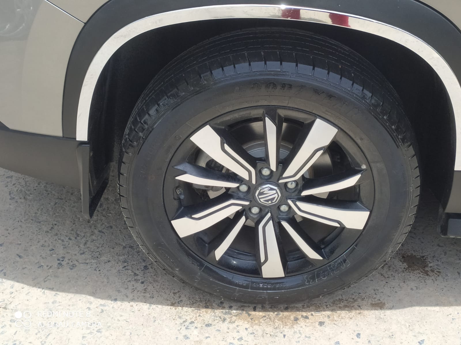 Hector image 9 Hector image 9